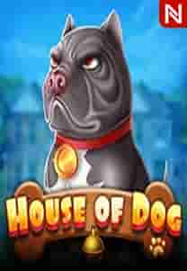 House of Dog