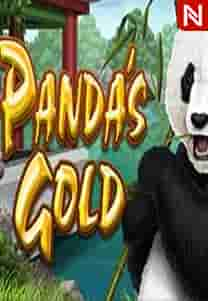 Panda's Gold