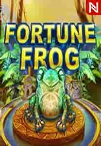 Fortune Frog